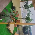 T2 Rooftop